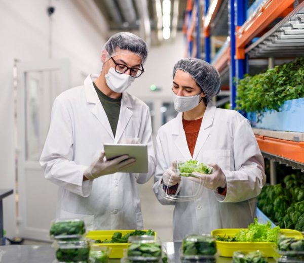 La sicurezza nel settore alimentare